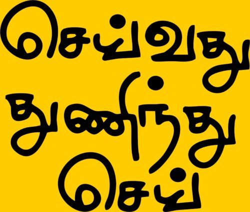 Seivathu Thuninthu Sei